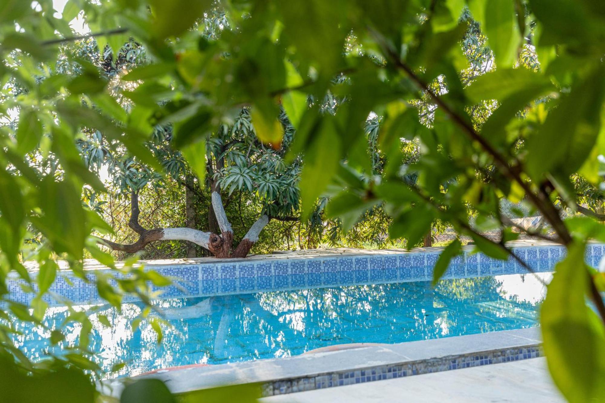 Gir County Resort Sasan Gir Esterno foto